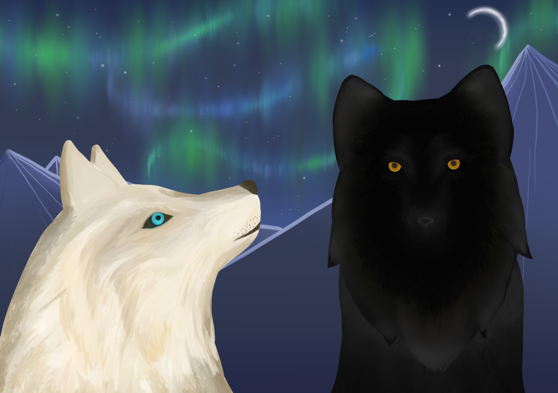 Thor's wolves Geri and Freki. A white wolf with blue eyes. A black wolf with amber eyes. The Nordic-inspired artwork is based on the theme of the artwork of wolves in black. The Scene behind the wolves is sharp mountain peaks with a slither of a crescent moon with the aurora borealis or northern lights in the night sky.