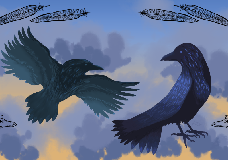 Odin's Ravens Huginn and Muninn. Dawn with light and grey clouds with two ravens one appearing as green and blue. The Nordic-inspired knot artwork is based on the theme of the artwork of ravens in black.